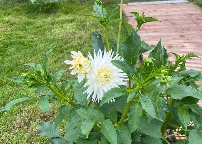 Casa Divera Vakantiehuis